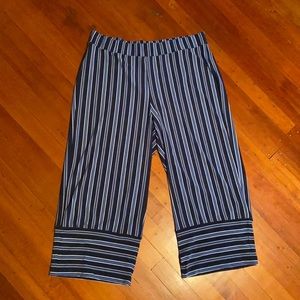 Roz & Ali Women’s Blue Stripe Crop Pants, Size 1x